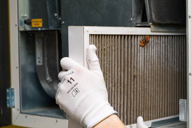 Best Air Duct Cleaning Company Near Me  in Ypsilanti, MI