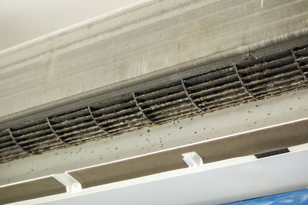 Best Local Air Duct Cleaning Services  in Ypsilanti, MI